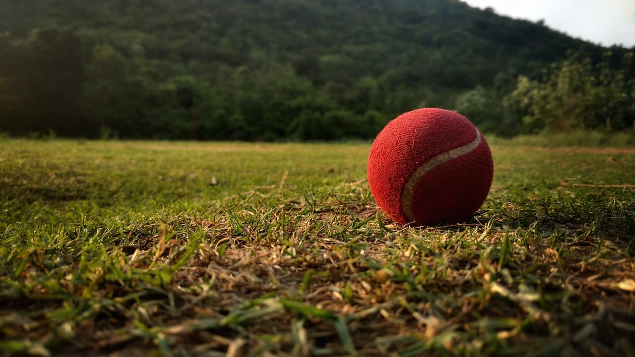 cricket ball on the grass